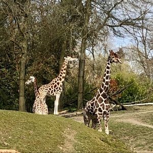 Meet your Posher, Ethan